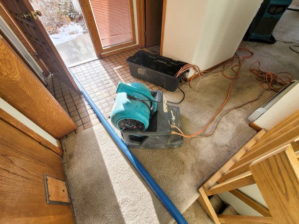 Best Water damage cleanup near me  in Trotwood, OH